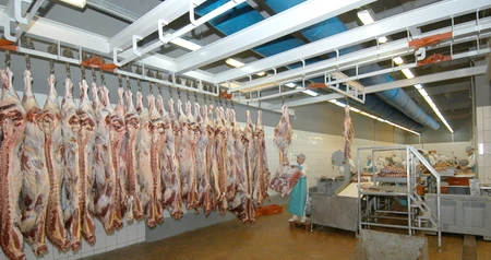Дезинсекция на мясокомбинате в Клине, цены на услуги
